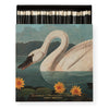 Archivist Matches Common American Swan