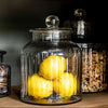 Ribbed Glass Storage Jar - Three Size Options