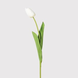 Faux White Tulip