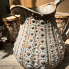 Malt Ceramic Urchin Pitcher or Jug