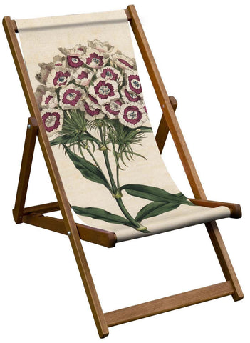 Botanical Deckchair Range - Dianthus Barbatus Sweet William