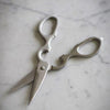 Multipurpose Stainless Steel Kitchen Scissors